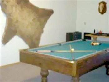 All Seasons B&B Kenai Dış mekan fotoğraf